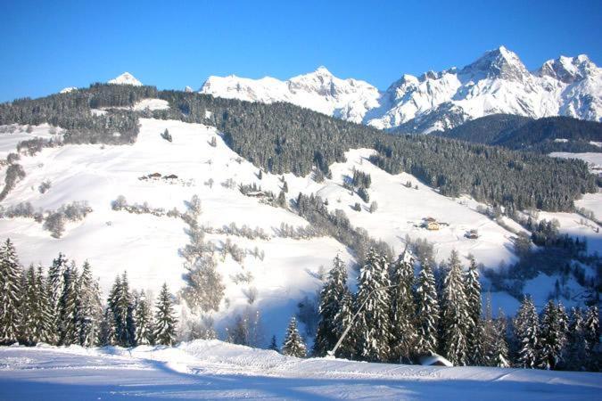 Ferienwohnung Klappacher Maria Alm am Steinernen Meer Exteriér fotografie