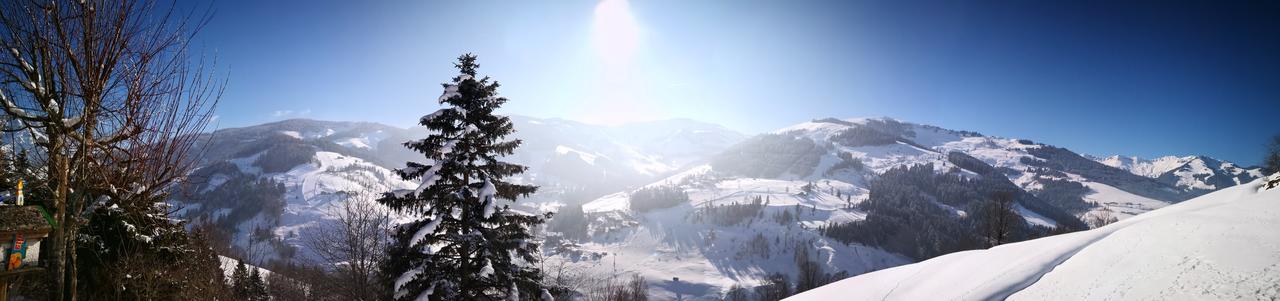 Ferienwohnung Klappacher Maria Alm am Steinernen Meer Exteriér fotografie