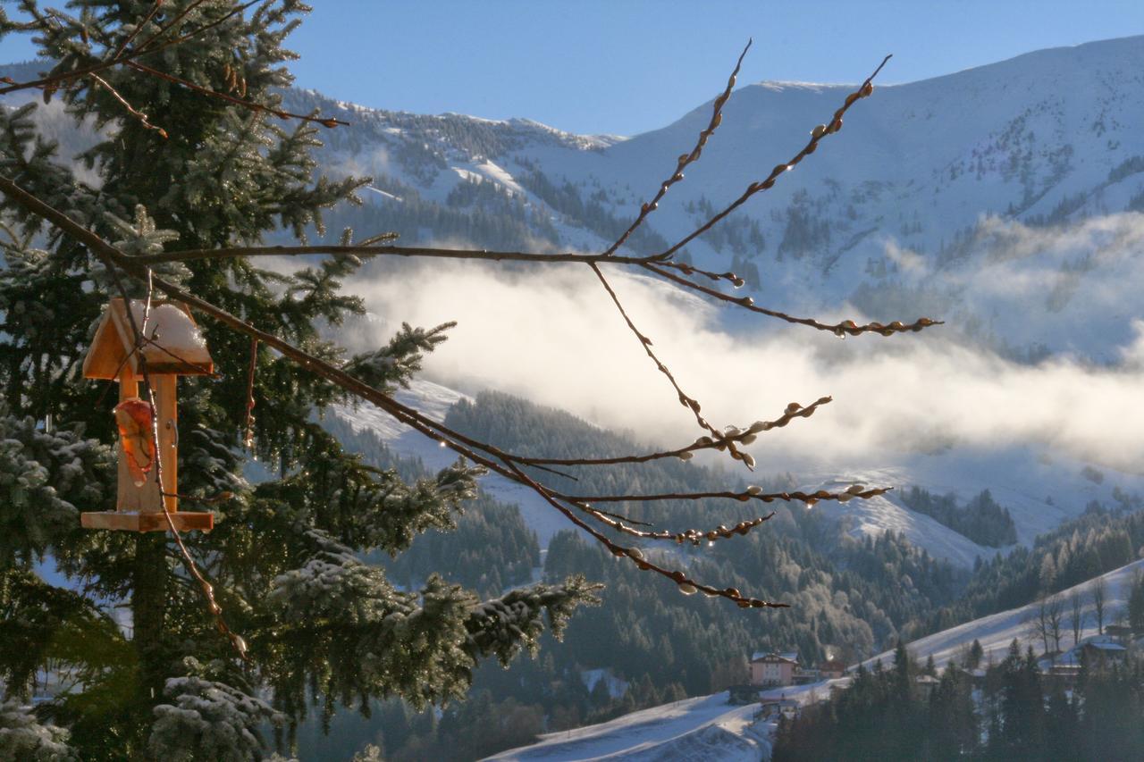 Ferienwohnung Klappacher Maria Alm am Steinernen Meer Exteriér fotografie